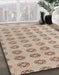 Machine Washable Abstract Dark Almond Brown Rug in a Family Room, wshabs4778