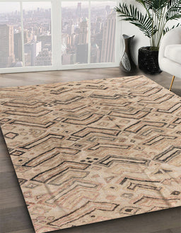 Machine Washable Abstract Dark Almond Brown Rug in a Family Room, wshabs4788