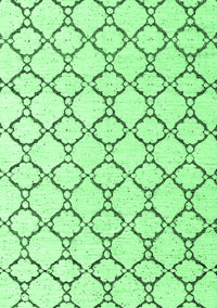 Terrilis Emerald Green Contemporary Rug, abs4803emgrn