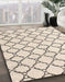 Abstract Camel Brown Trellis Rug in Family Room, abs4803