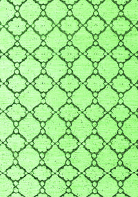 Terrilis Green Contemporary Rug, abs4803grn