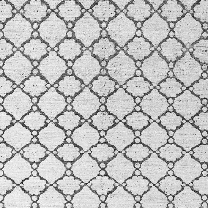 Machine Washable Terrilis Gray Contemporary Rug, wshabs4804gry