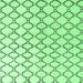 Square Machine Washable Terrilis Emerald Green Contemporary Area Rugs, wshabs4804emgrn