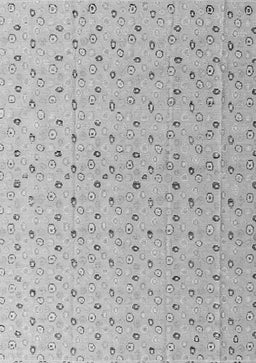 Abstract Gray Modern Rug, abs4814gry