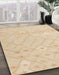 Machine Washable Abstract Khaki Gold Rug in a Family Room, wshabs4834