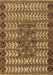 Machine Washable Abstract Brown Modern Rug, wshabs4838brn