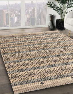 Machine Washable Abstract Brown Rug in a Family Room, wshabs4849