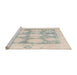 Sideview of Machine Washable Abstract Sage Green Rug, wshabs4856