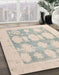 Abstract Sage Green Oriental Rug in Family Room, abs4856