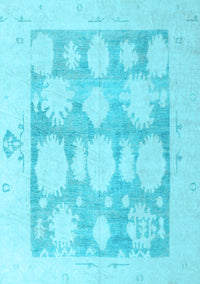 Oriental Light Blue Traditional Rug, abs4856lblu