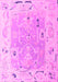 Oriental Pink Traditional Rug, abs4857pnk