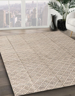 Machine Washable Abstract Brown Rug in a Family Room, wshabs4864
