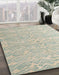 Machine Washable Abstract Sage Green Rug in a Family Room, wshabs4871