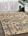 Machine Washable Abstract Khaki Green Rug in a Family Room, wshabs4884