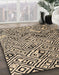 Abstract Brown Modern Rug in Family Room, abs4891