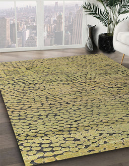 Machine Washable Abstract Metallic Gold Rug in a Family Room, wshabs4907