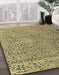 Machine Washable Abstract Metallic Gold Rug in a Family Room, wshabs4907