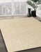 Abstract Brown Solid Rug in Family Room, abs4910