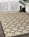 Abstract Dark Almond Brown Trellis Rug in Family Room, abs4911