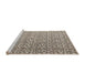 Sideview of Machine Washable Abstract Tan Brown Rug, wshabs4917