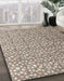 Machine Washable Abstract Tan Brown Rug in a Family Room, wshabs4917