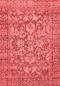 Oriental Red Traditional Rug, abs492red