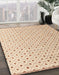 Machine Washable Abstract Tangerine Pink Rug in a Family Room, wshabs4932