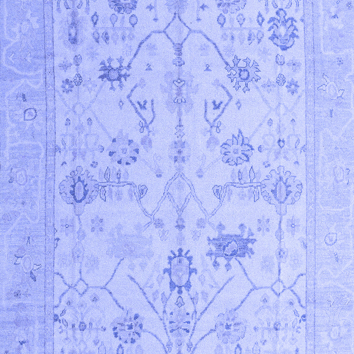 Oriental Blue Traditional Rug, abs4935blu