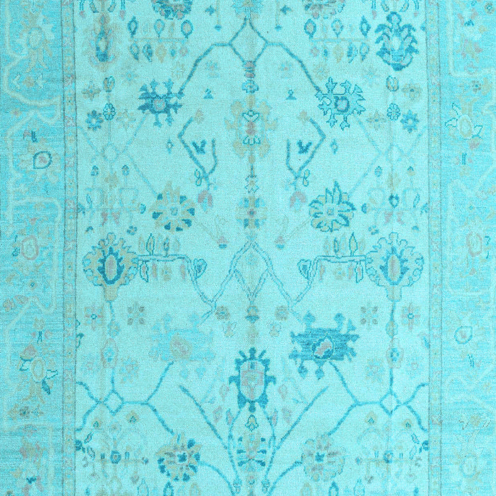 Oriental Light Blue Traditional Rug, abs4935lblu