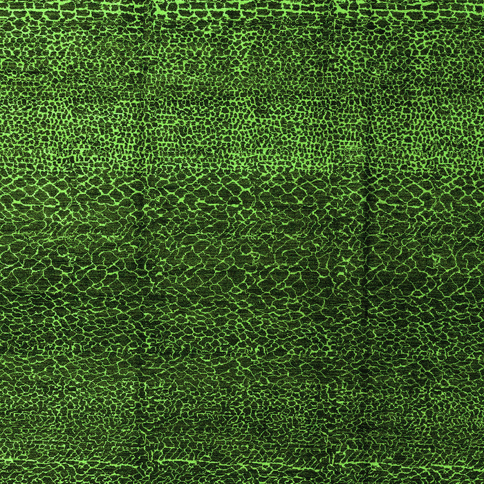 Abstract Green Modern Rug, abs4939grn