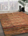 Machine Washable Abstract Tomato Red Rug in a Family Room, wshabs4966