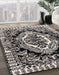 Machine Washable Abstract Pale Silver Gray Rug in a Family Room, wshabs4976