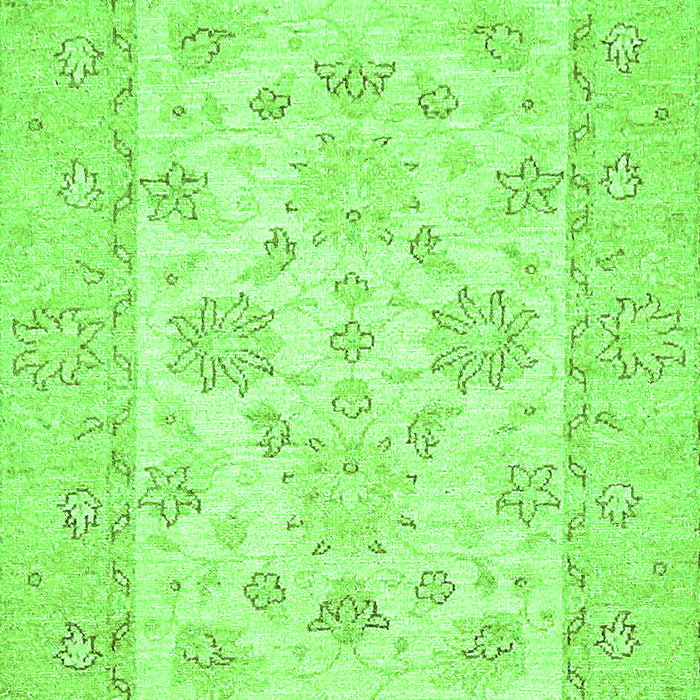 Oriental Green Traditional Rug, abs497grn