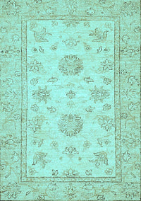 Oriental Light Blue Traditional Rug, abs498lblu