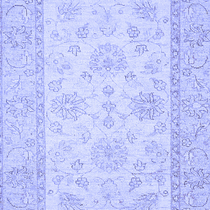 Oriental Blue Traditional Rug, abs499blu