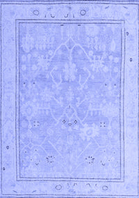 Oriental Blue Traditional Rug, abs5005blu