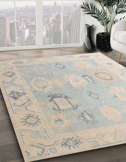 Abstract Sage Green Oriental Rug in Family Room, abs5007