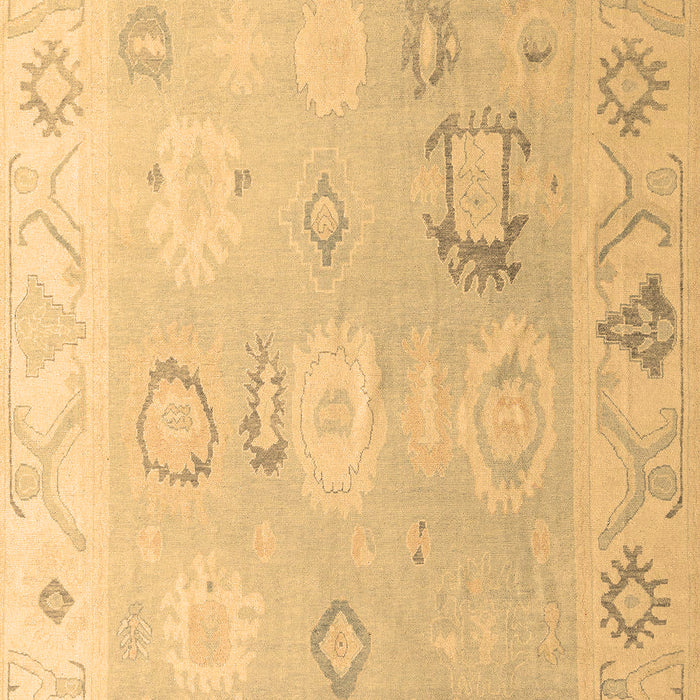 Oriental Brown Traditional Rug, abs5007brn