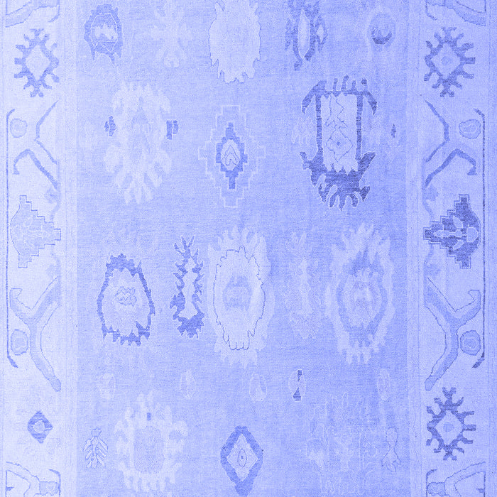 Oriental Blue Traditional Rug, abs5007blu