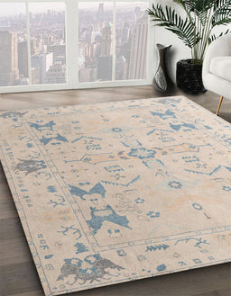 Abstract Sage Green Oriental Rug in Family Room, abs5008