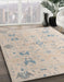 Machine Washable Abstract Sage Green Rug in a Family Room, wshabs5008