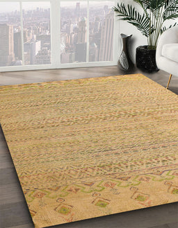 Abstract Cinnamon Brown Oriental Rug in Family Room, abs5020