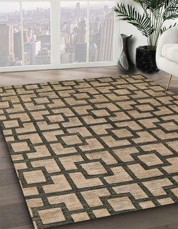 Abstract Dark Brown Oriental Rug in Family Room, abs5021