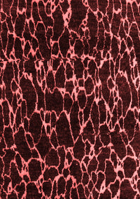 Oriental Red Modern Rug, abs5024red