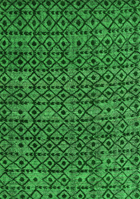 Oriental Green Modern Rug, abs5029grn