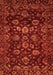 Oriental Orange Traditional Rug, abs502org