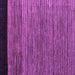 Square Machine Washable Oriental Purple Modern Area Rugs, wshabs5032pur