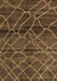 Machine Washable Oriental Brown Modern Rug, wshabs5035brn