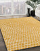 Machine Washable Abstract Chrome Gold Yellow Rug in a Family Room, wshabs5036