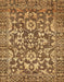 Abstract Orange Modern Rug, abs503